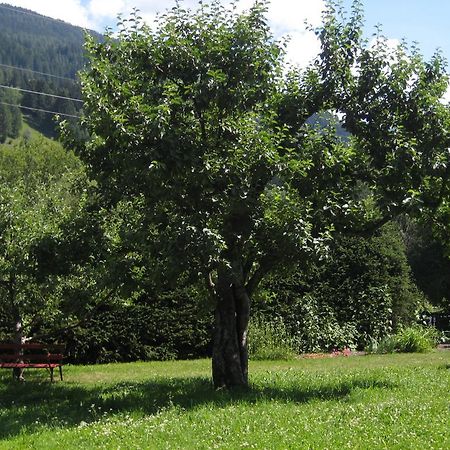 Villa Pranter Sillian Rum bild