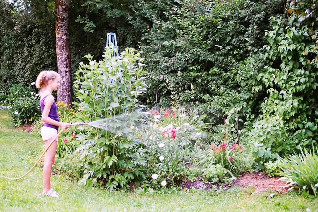 Villa Pranter Sillian Rum bild