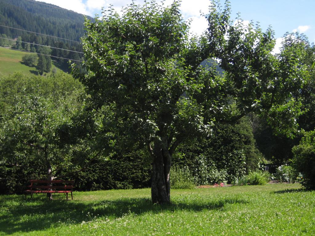 Villa Pranter Sillian Rum bild